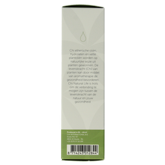 Chi Wintergreen wild 10 Milliliter