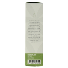 Chi Wintergreen wild 10.00 Milliliter
