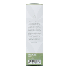 Chi Patchouli cultivar 10 Milliliter