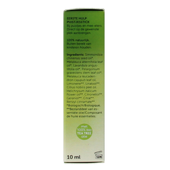 Chi Tea tree puistjes stick 10.00 Milliliter