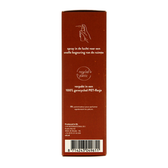 Chi Wintertime airspray 50.00 Milliliter