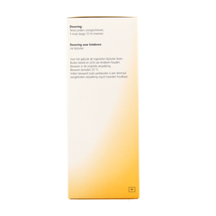 Heel Nectadyn H stroop 250 Milliliter
