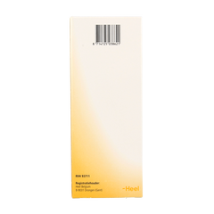 Heel Nectadyn H stroop 250 Milliliter