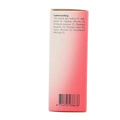 Heel Vinceel H mond & keelspray 20 Milliliter