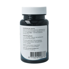 Springfield Nattokinase 90.00 Vegetarische capsules