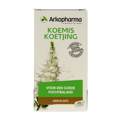 Arkocaps Javaanse thee 45 Capsules