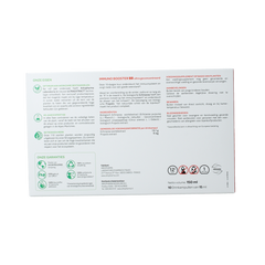 Arkofluids Immuno booster 15ml bio 10 Ampullen