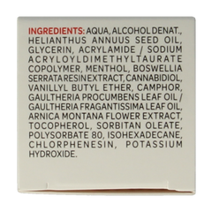 Arkoflex Flash creme 60 Milliliter