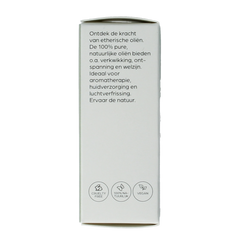 Volatile Anijs groen 5.00 Milliliter