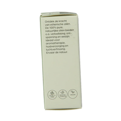 Volatile Benzoe 5 Milliliter