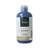 Volatile Massageolie eucalyptus (Oslo) 250 Milliliter