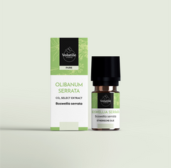 Volatile Olibanum serrata C02-SE 5.00 Milliliter