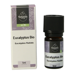 Volatile Eucalyptus radiata bio 5 Milliliter