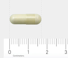 AOV 220 Pyridoxaal-5-fosfaat 120 Vegetarische capsules