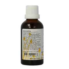 Groene Os Salvia complex hond/kat 50.00 Milliliter