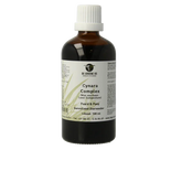 Groene Os Cynara complex paard/pony 100 Milliliter