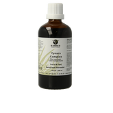 Groene Os Cynara complex paard/pony 100 Milliliter