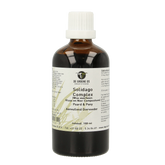 Groene Os Solidago complex paard/pony 100.00 Milliliter