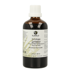 Groene Os Solidago complex paard/pony 100.00 Milliliter