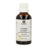 Groene Os Solidago complex hond/kat 50.00 Milliliter
