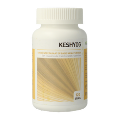 Ayurveda Health Keshyog 120.00 Tabletten