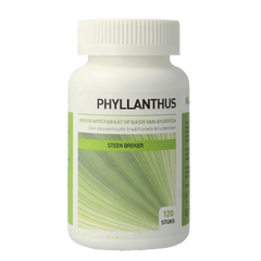 Ayurveda Health Phyllanthus niruri 120 Tabletten