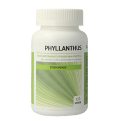 Ayurveda Health Phyllanthus niruri 120.00 Tabletten