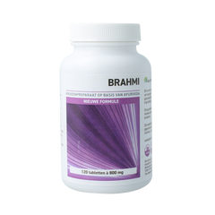 Ayurveda Health Brahmi 120.00 Tabletten