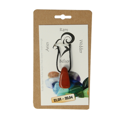 Steengoed Sterrenbeeldsteen hanger ram 1 Stuks