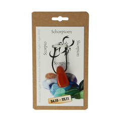 Steengoed Sterrenbeeldhanger schorpioen 1.00 Stuks