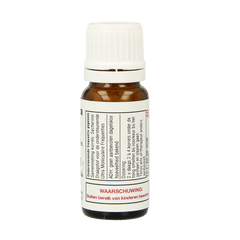 DNH Infecta 200 Stuks