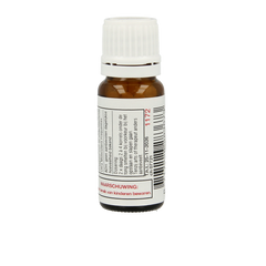 DNH Xiangela 200.00 Stuks