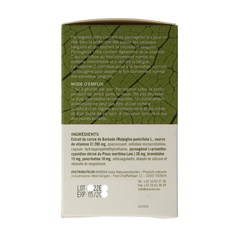 Marma Pycnogenol ultra 90 Capsules