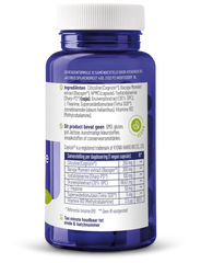Vitakruid Geheugenformule oa Bacopa monnieri Citicoline OPC 60 Vegetarische capsules