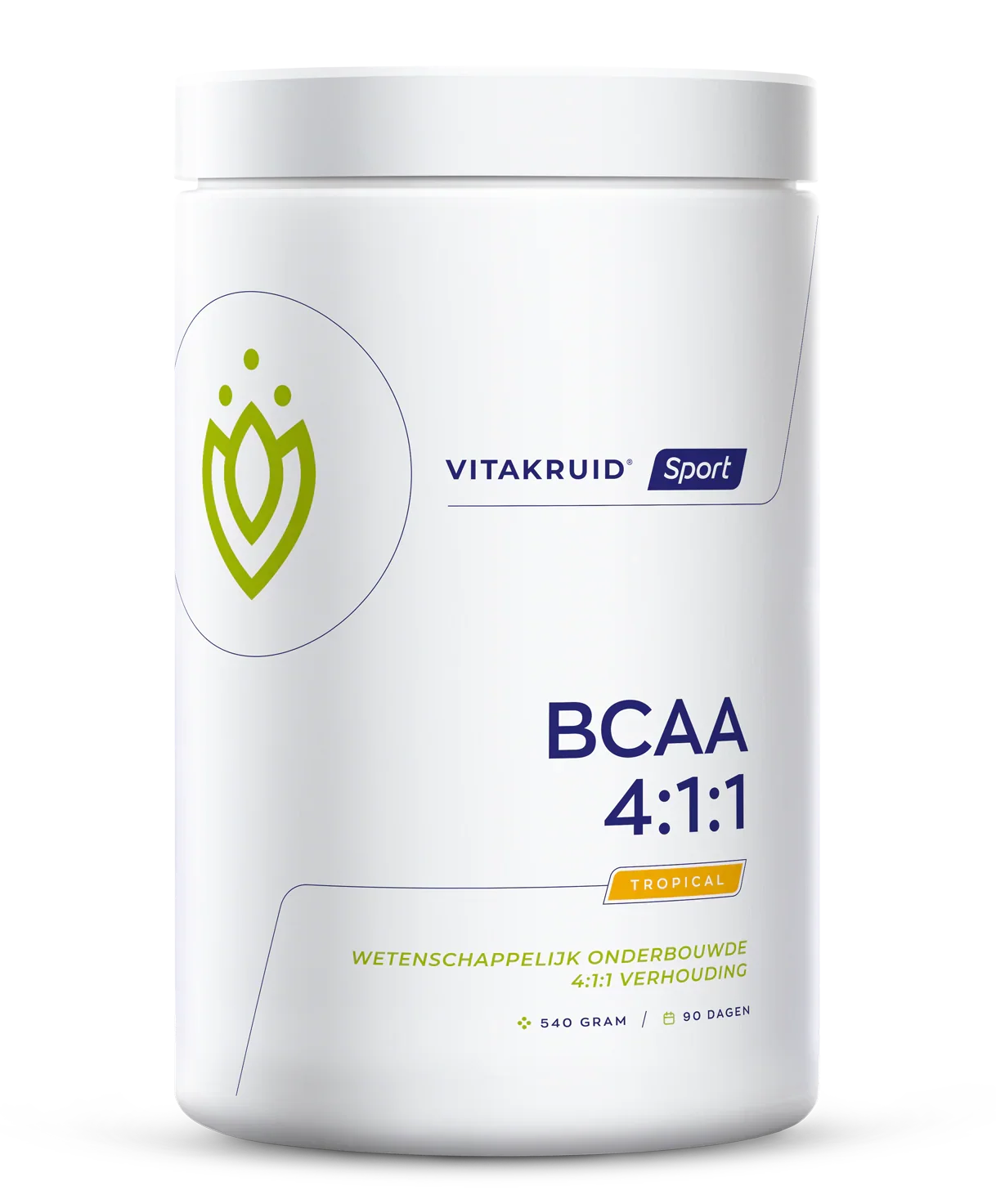 Vitakruid BCAA 4:1:1 l-leucine, l-isoleucine & l-valine 540 Gram