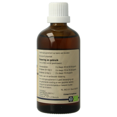 GO Aesculus hippocastanum bio 100 Milliliter