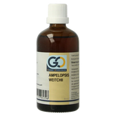 GO Ampelopsis weitchii bio 100 Milliliter