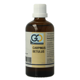 GO Carpinus betulus 100 Milliliter