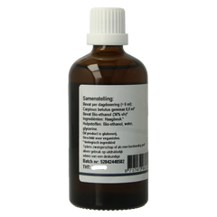 GO Carpinus betulus 100 Milliliter