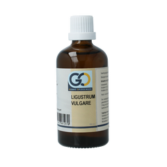 GO Ligustrum vulgare 100 Milliliter