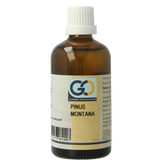 GO Pinus montana 100 Milliliter