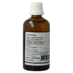 GO Ginkgo biloba bio 100 Milliliter