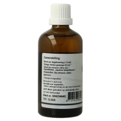 GO Ginkgo biloba bio 100 Milliliter