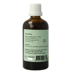 Fytomed Bronchi bio 100 Milliliter