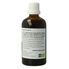 Fytomed Bronchi bio 100 Milliliter