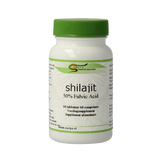 Surya Shilajit 60.00 Tabletten