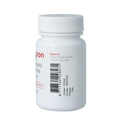Fagron Vitamine B12 1000mcg 90.00 Tabletten