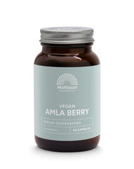 Mattisson Absolute amla berry extract 500mg 60.00 Vegetarische capsules