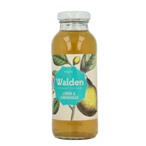 Walden Ice tea lemon lemongrass bio 250 Milliliter