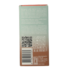 Bolsius Clean Light navulling 2 pack Cedarwood / Vertiver 212 Gram